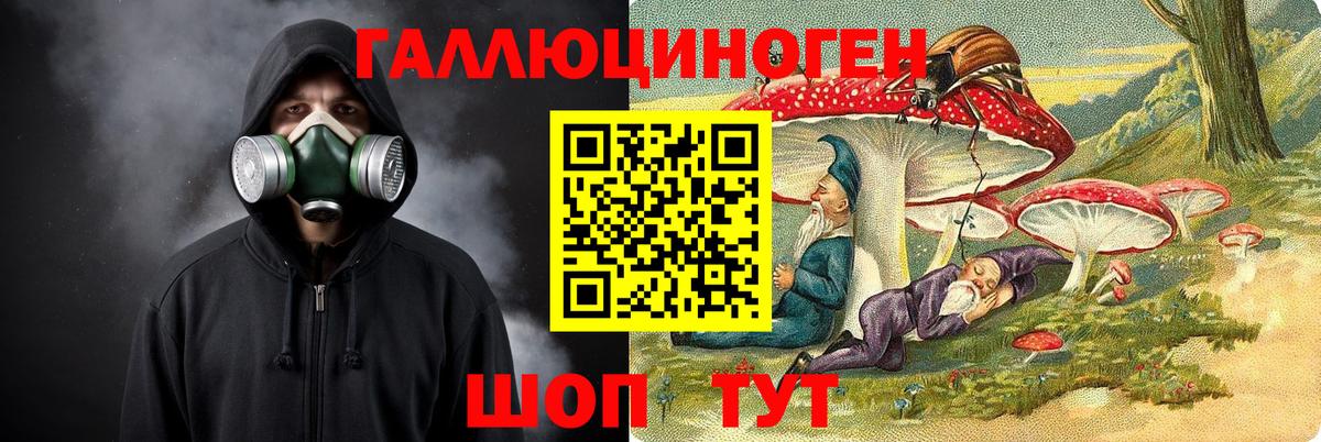 Псилоцибиновые грибы Psilocybine cubensis Бутурлиновка