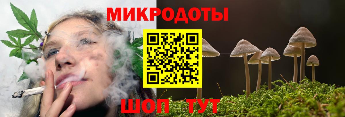 Псилоцибиновые грибы мухоморы  Вход с VPN  Бутурлиновка  где найти наркотики  Галлюциногенные грибы Psilocybine cubensis 